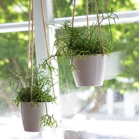 Haus Am Stadttor * האטינגן