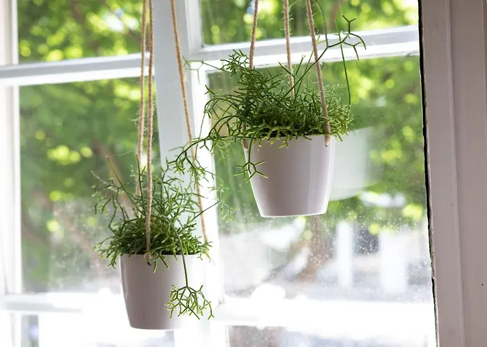 Haus Am Stadttor * Hattingen